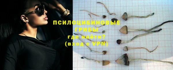 MESCALINE Магас