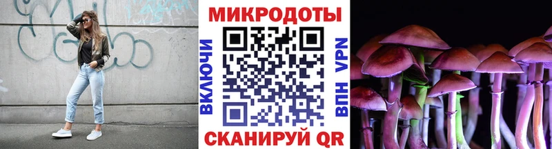 Купить  Шарыпово  Псилоцибиновые грибы Magic Shrooms 